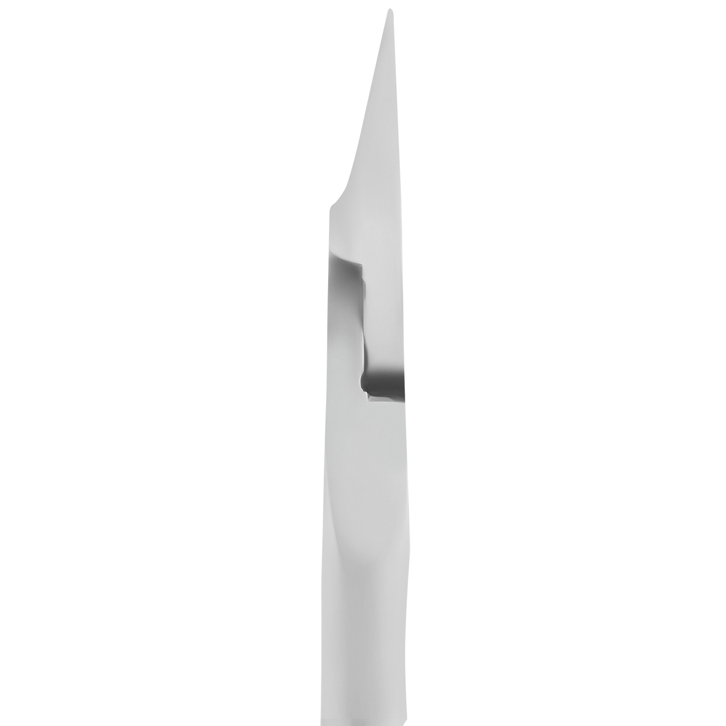 STALEKS Professional nippers for ingrown toenails EXPERT 61 - 12mm (NE-61-12)