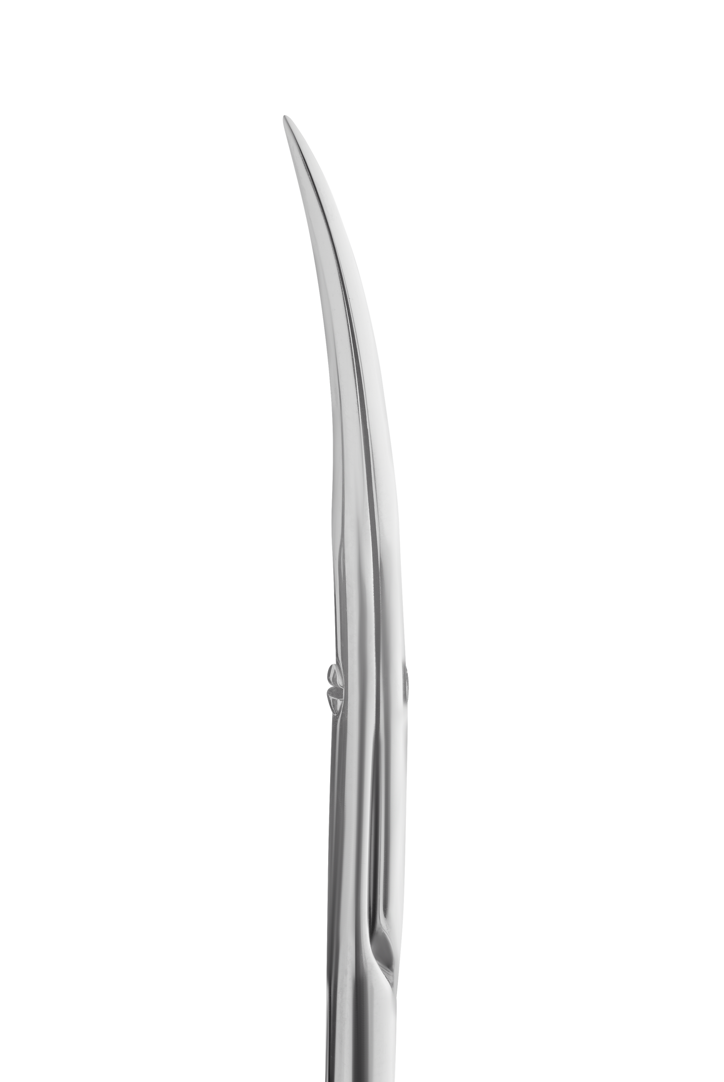 STALEKS Professional cuticle scissors EXCLUSIVE 22 - TYPE 1 (SX-22/1m)